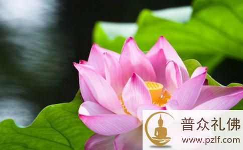 不念佛没生病,念佛后反而念出病来