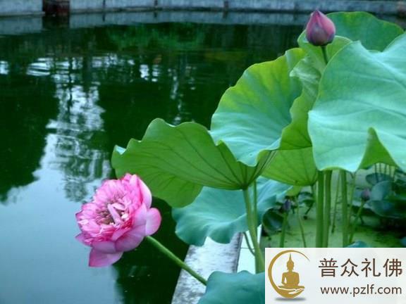 为何世俗的快乐会带动生死轮回的痛苦