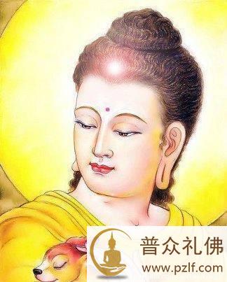 与其做没意义的事,不如去救助一条生命