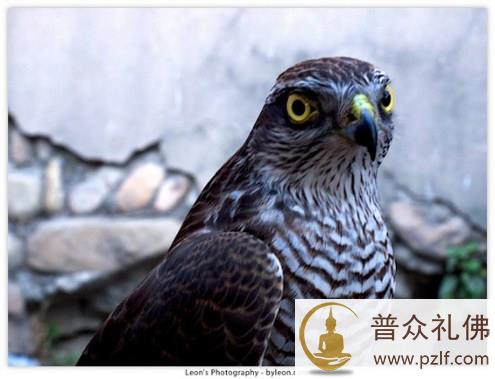 伸出援助之手,你也会得到尊重