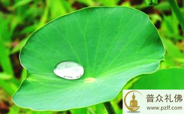 人寿百岁,不起善愿,不如一日,发行四弘