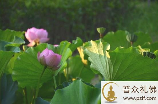 今生的际遇,是前世修来的