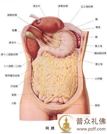 思惟略要法--不净观