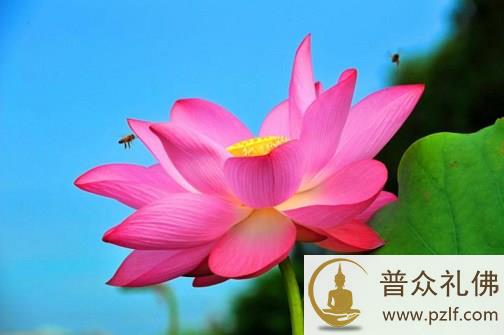 佛书若示有版权，则阻遏流通之罪甚重