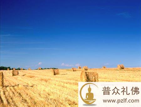 佛祖都不肯保佑的事