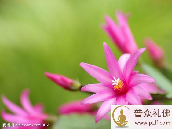人生的苦乐，并不是由外境决定的