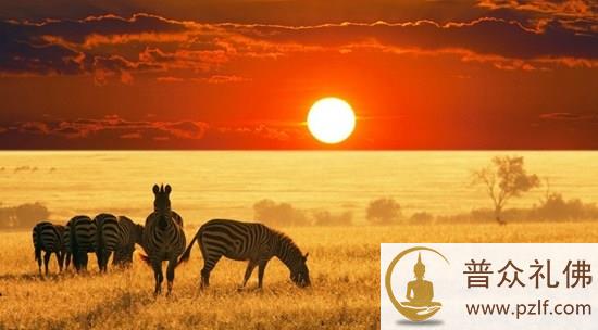 不抛弃贪执,终将徒劳身心