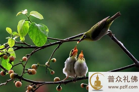 世间五德,难能可贵