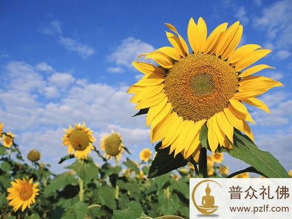 不要自以为圣,要以人为镜