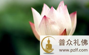 佛陀箴言:佛陀教你成为完美人妻 \