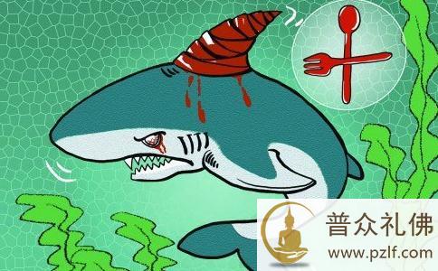 利益和贪婪蒙蔽良知,姚明公开拒绝鱼翅 \