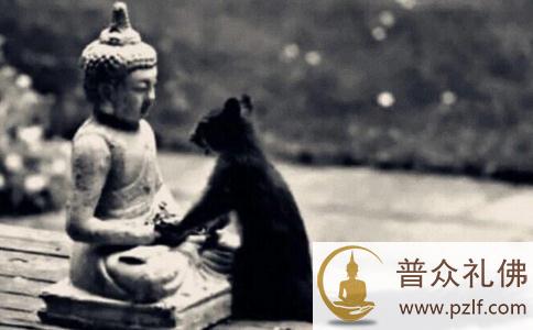 一切众生,佛性相同 一切众生,佛性相同