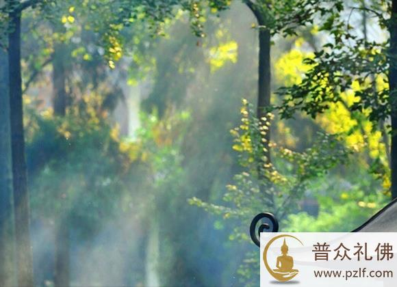 人很难放下面子，这个面子就是佛讲的魔！