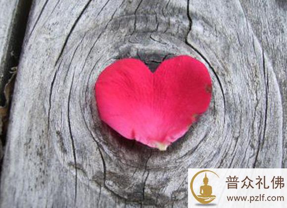 一诚长老：佛不能直接给你什么 但能给你解决问题的方法