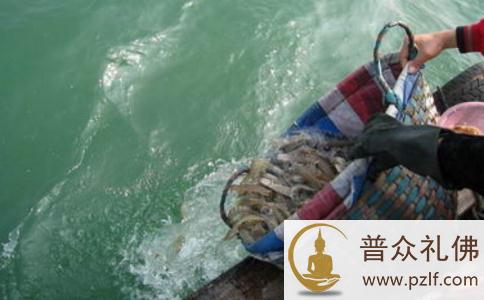 与果卿居士一起放生——神通示现,泽被苍生! 与果卿居士一起放生——神通示现,泽被苍生!