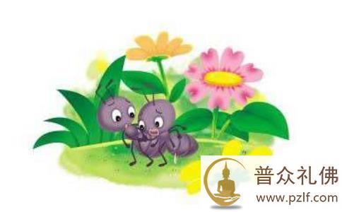 两只蚂蚁爬向自由的故事 两只蚂蚁爬向自由的故事