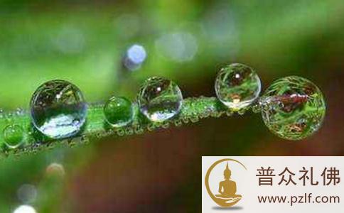 一则经典人生故事 一则经典人生故事