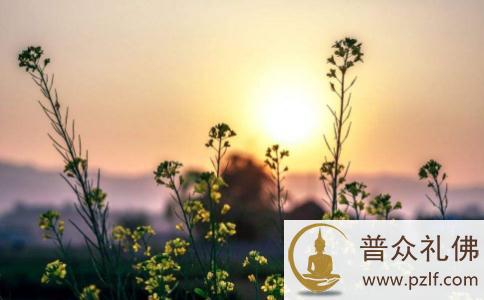 低调做人不但是修为,也是品格,更是智慧 低调做人不但是修为,也是品格,更是智慧