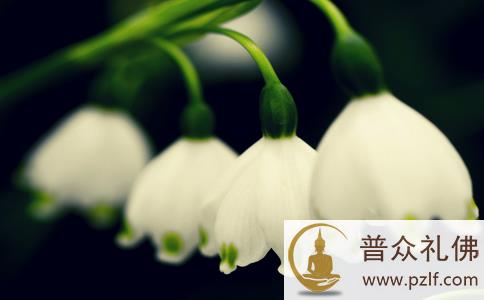 佛法便是最宝贵的财富 佛法便是最宝贵的财富