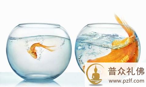 为了攀比,装修出来的精进