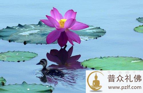 五逆重罪和诽谤正法的人会堕落到哪里