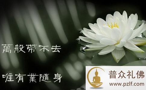 万般带不去,唯有业随身