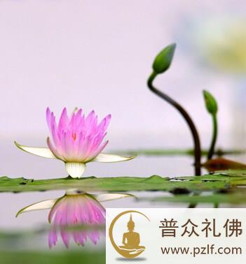 但于事上通无事,见色闻声不用聋