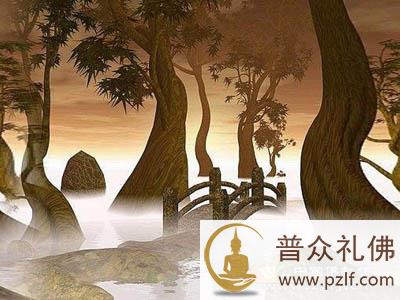 为你,不喝孟婆汤