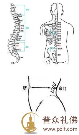 命门学说与耳通命门之参究