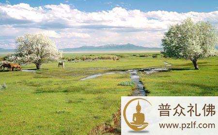 人生千万不要去做的7件事