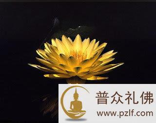 二种行门,决定得生彼国