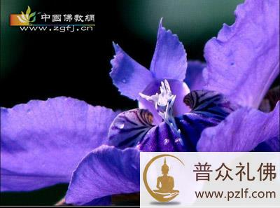 人生是一场旅行的梦