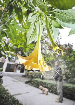 印光大师：汪含章夫人往生记